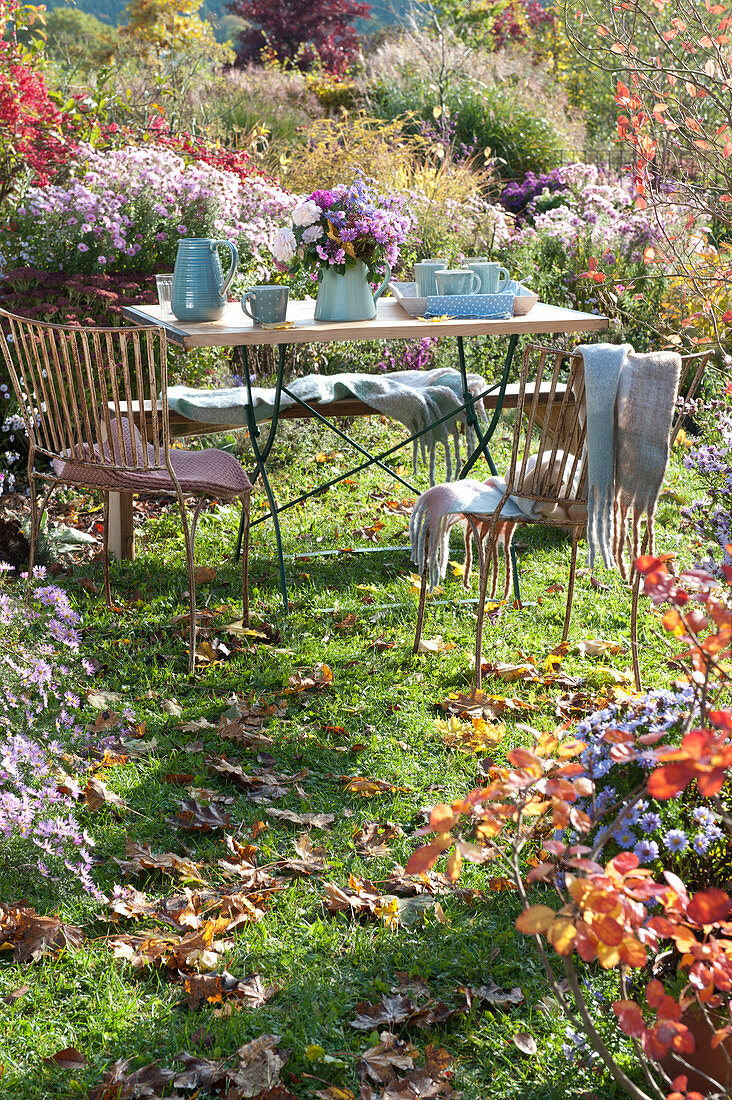 Seating Between Flowering Asters In The Garden