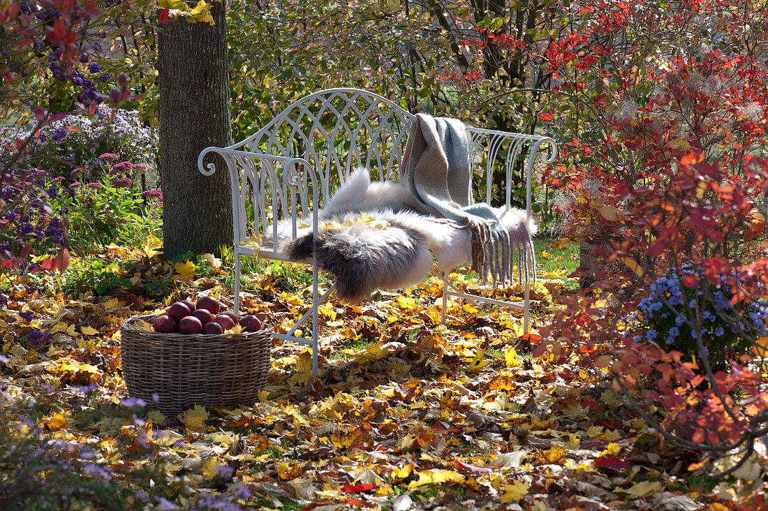 Garden Bench With Fur And Blanket Under A Tree