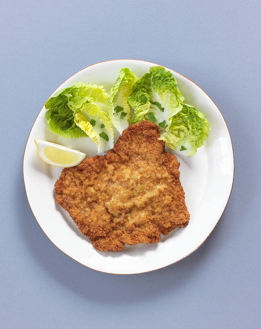 Viennese escalope with a salad garnish