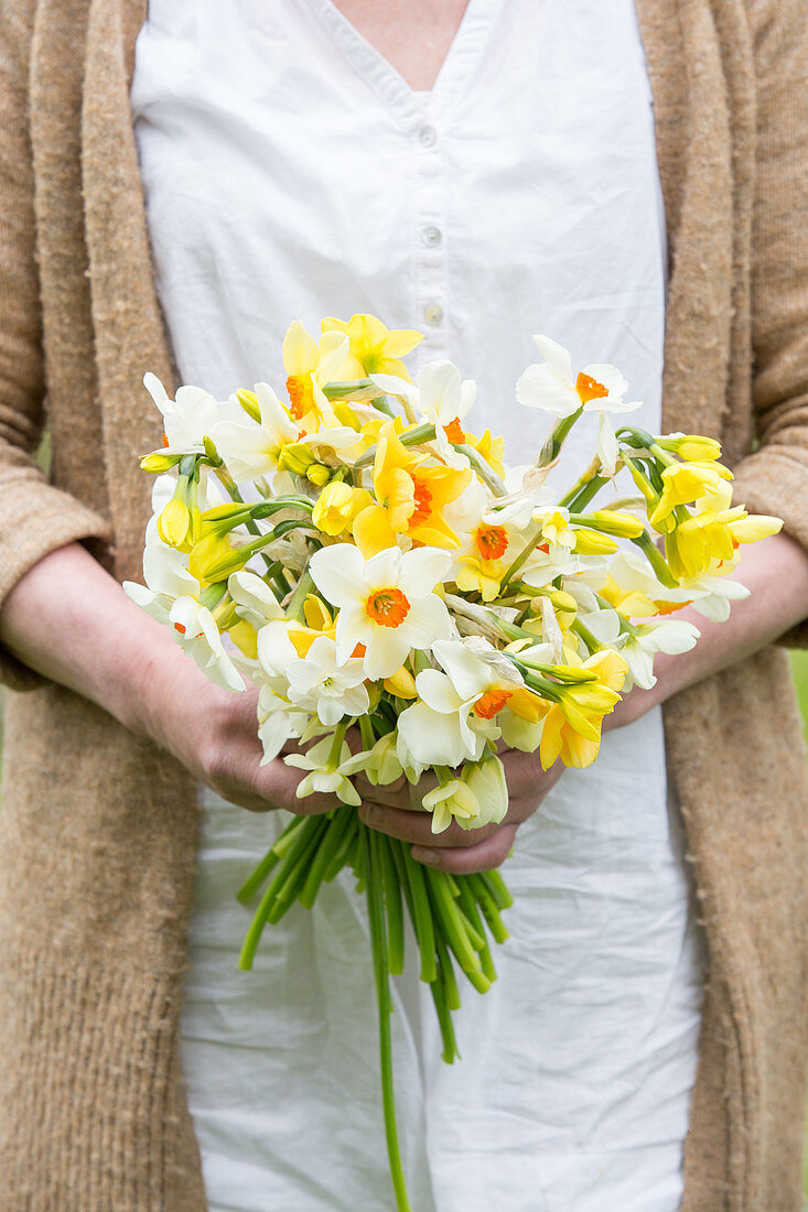 Woman holding bunch of narcissus