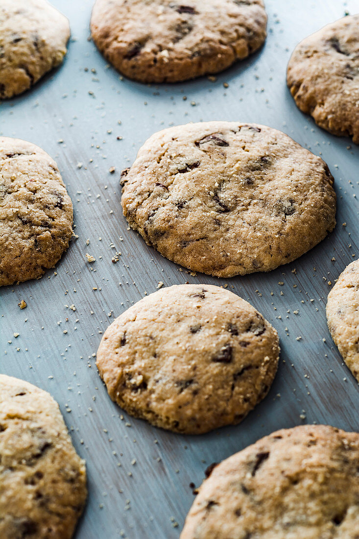 Cookies with pieces of chocolate