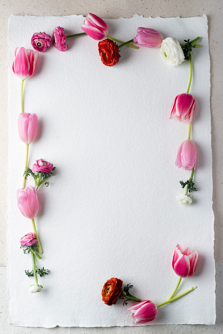 Blumenrahmen aus Tulpen und Ranunkeln