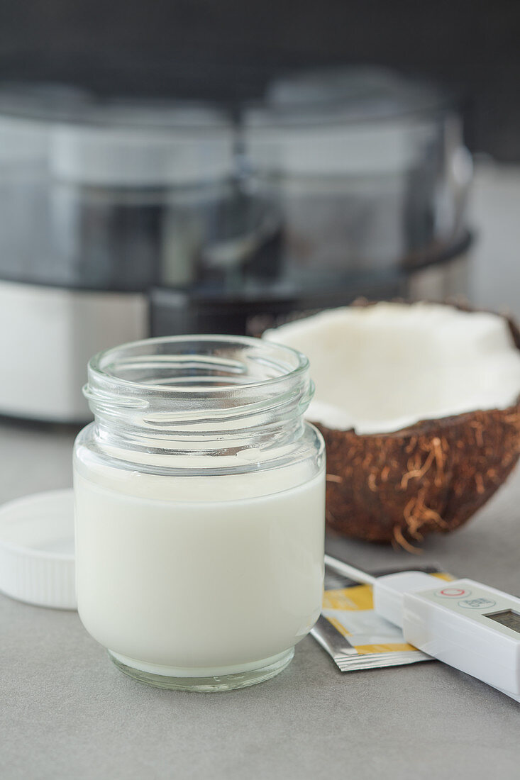 Homemade coconut yoghurt with agar-agar in a yoghurt maker (vegan)