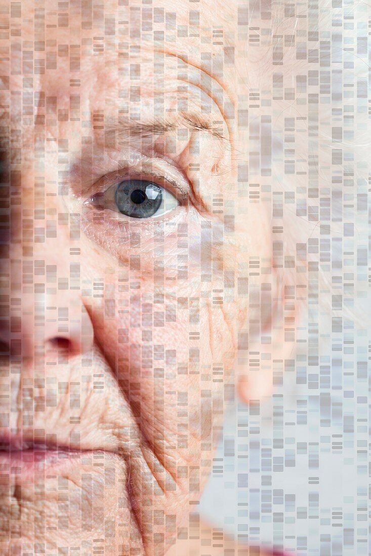 Genetics of ageing, conceptual image