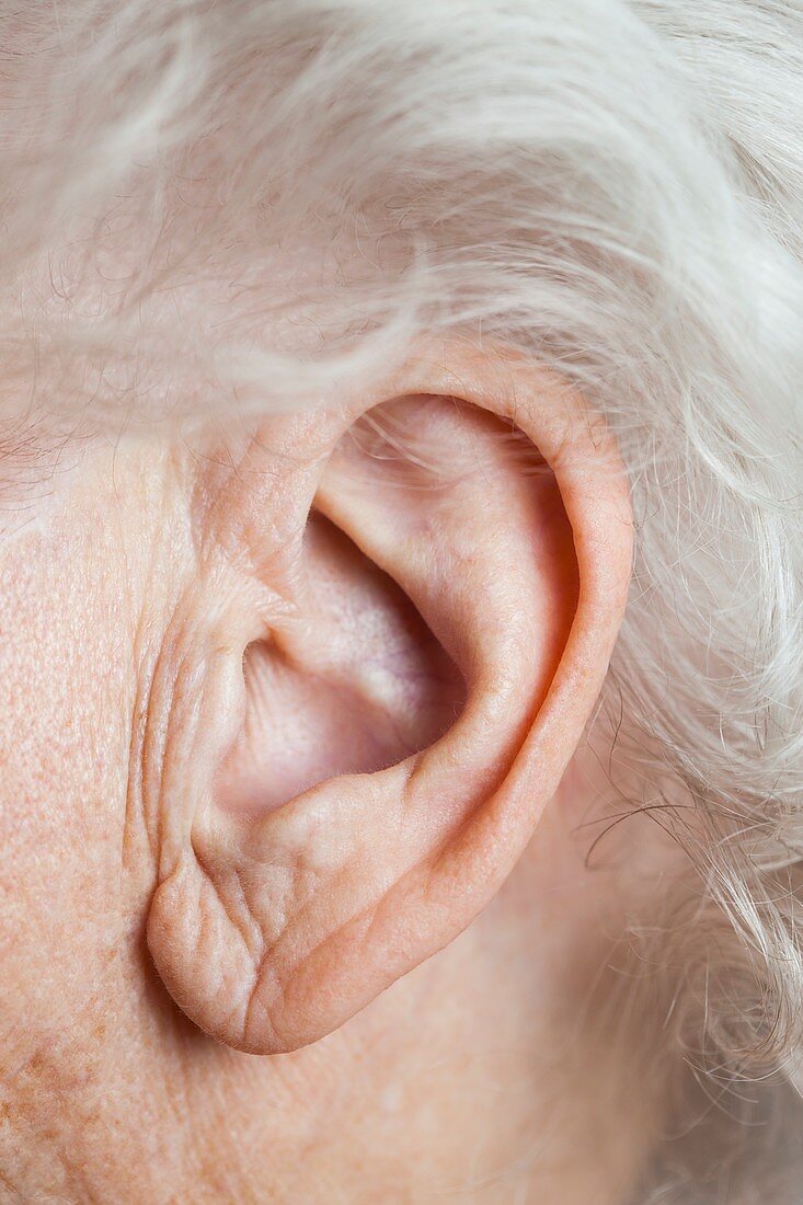Elderly woman's ear