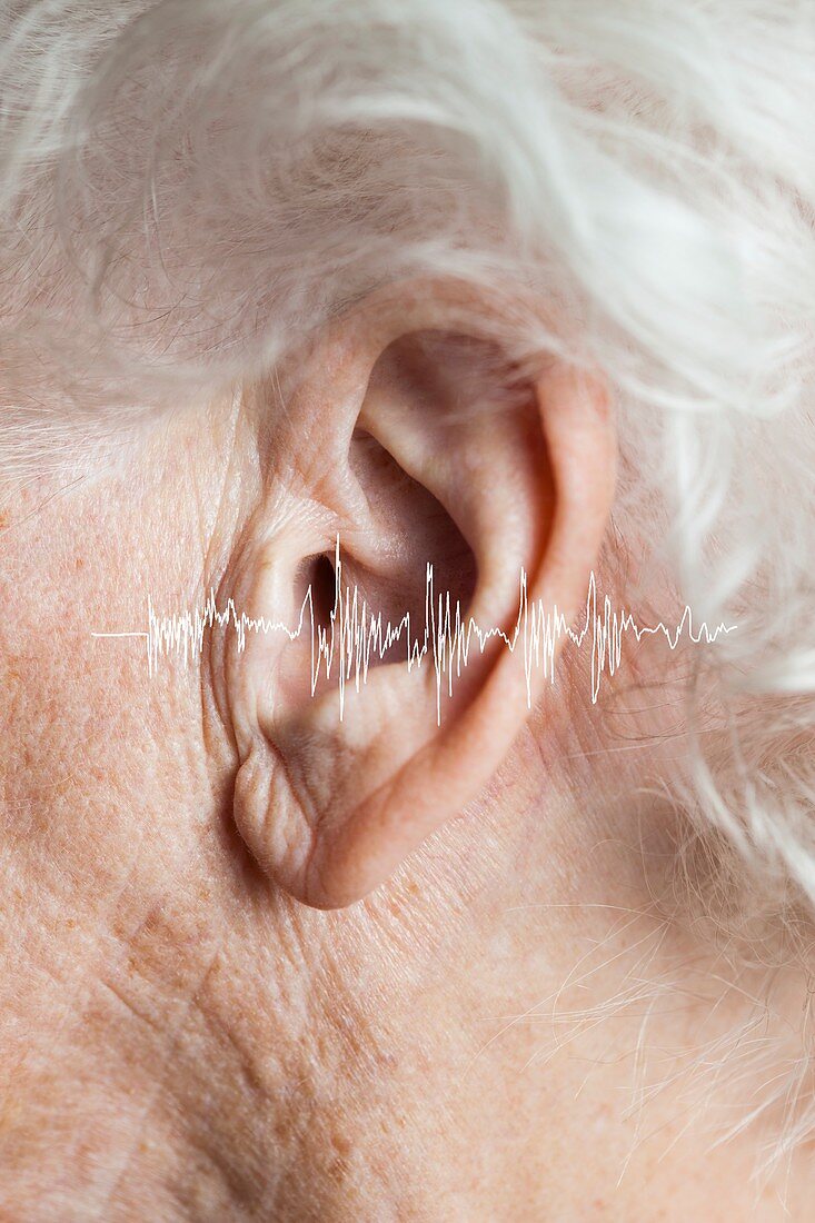 Elderly woman's hearing, conceptual image