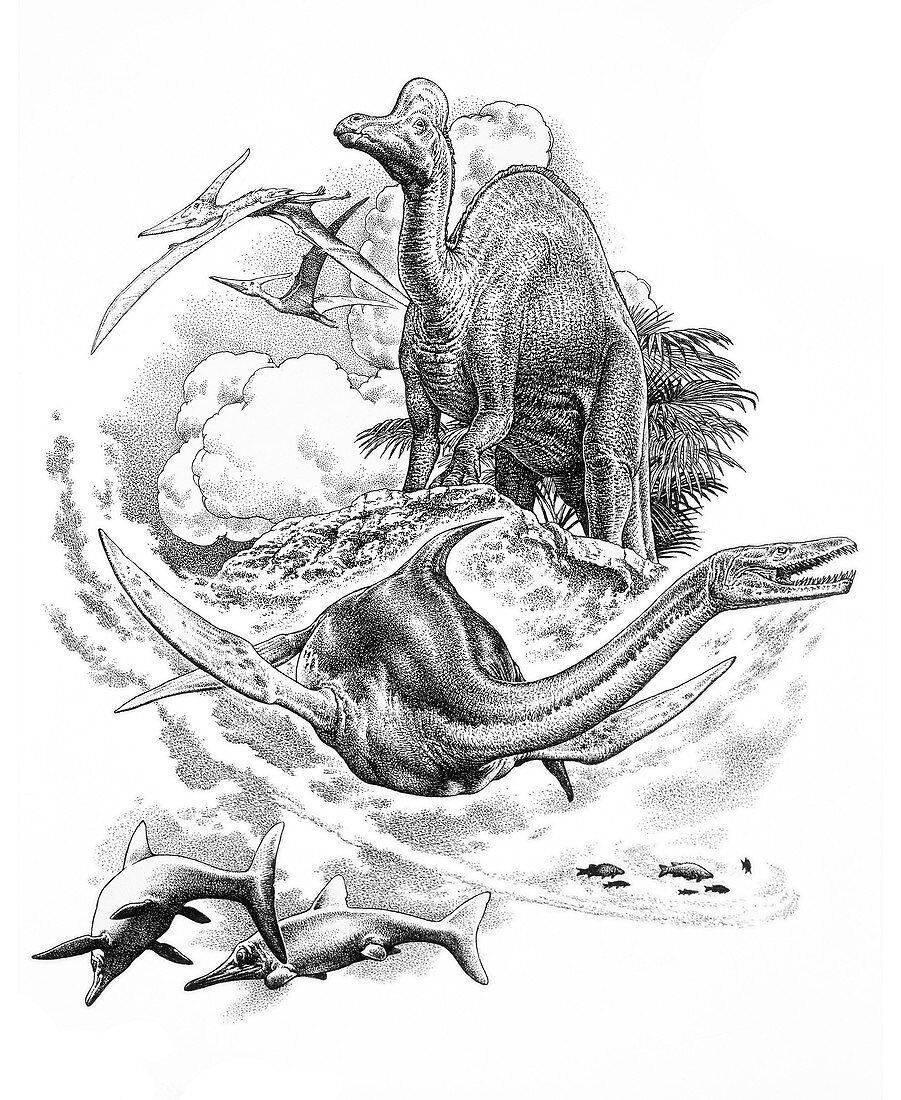 Mesozoic reptiles, illustration