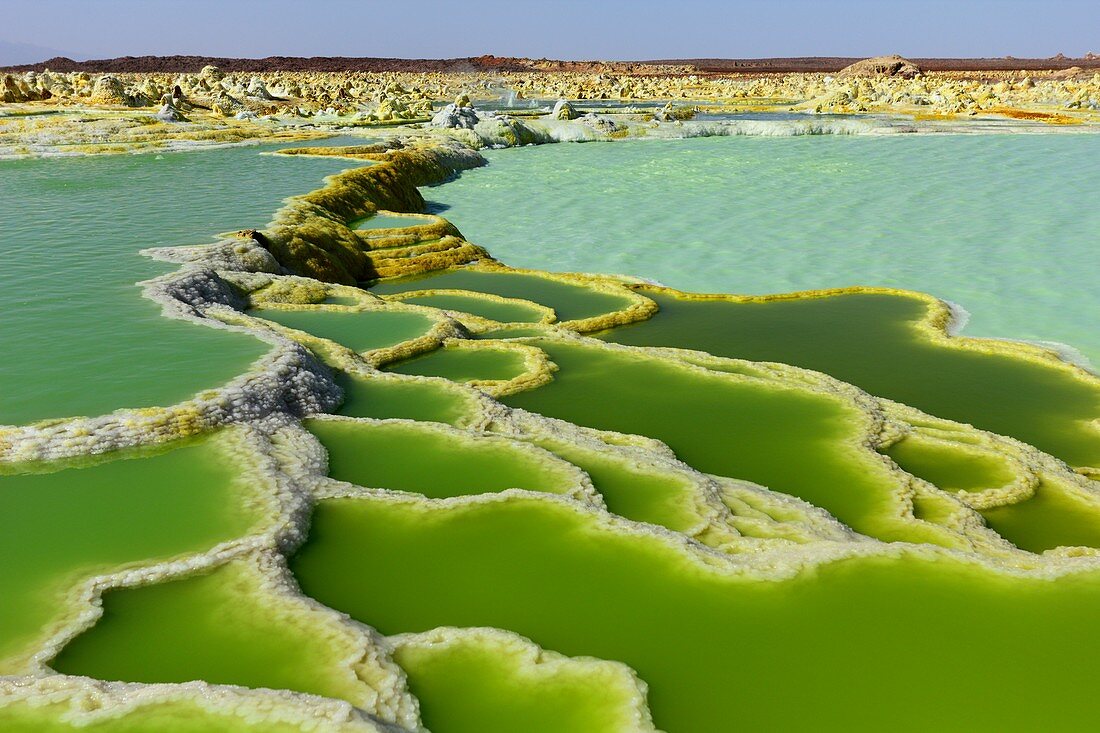 Hot spring mineral terraces, Dallol, Ethiopia