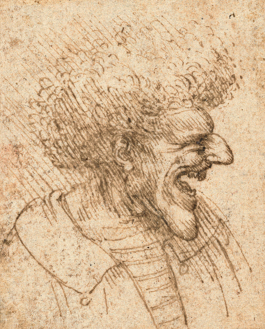 Caricature of a Man with Bushy Hair, 1495