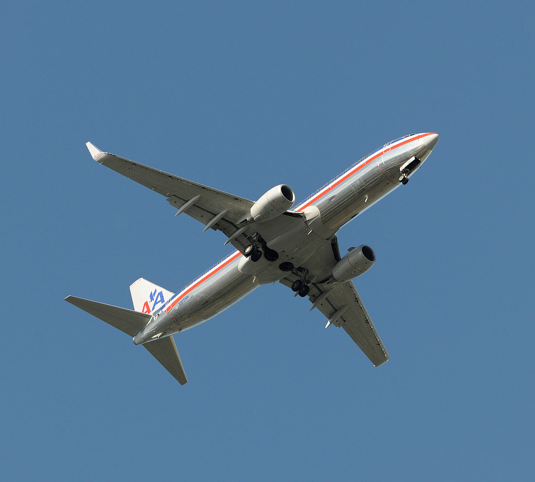 Boeing 737-800 in flight