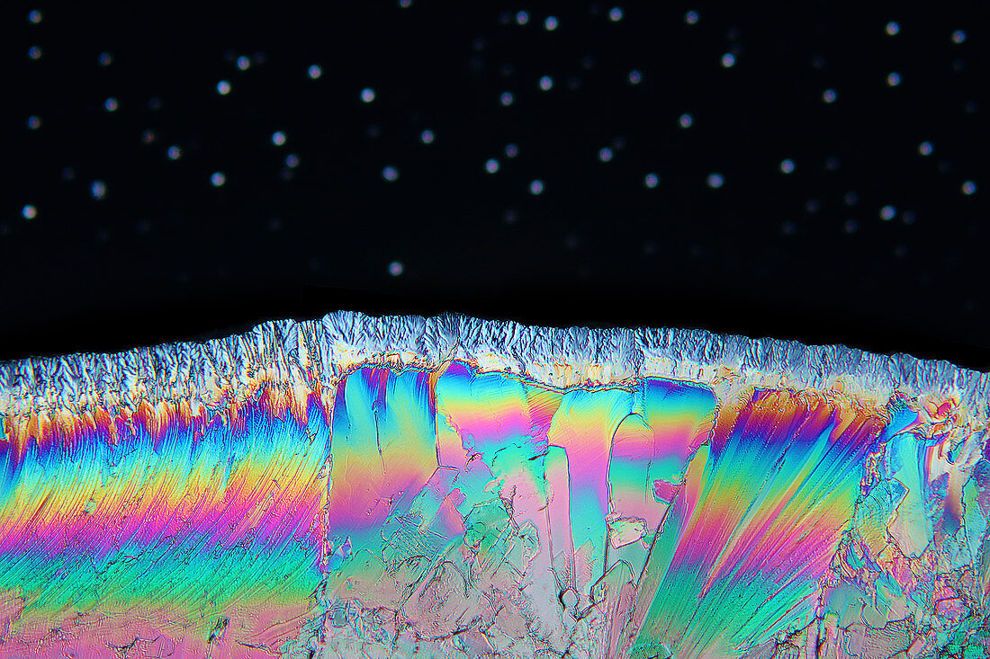 Acetaminophen, polarised light micrograph