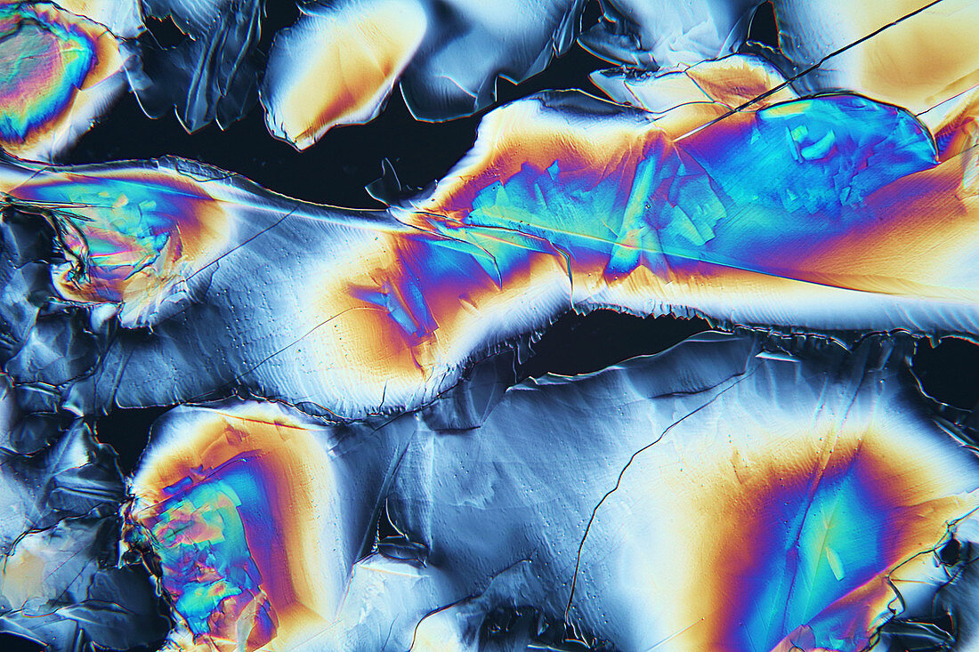 Aspirin crystals, polarised light micrograph