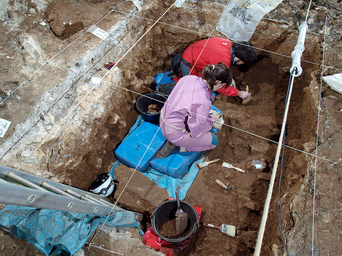 Excavations at Cueva Mayor fossil site, Spain