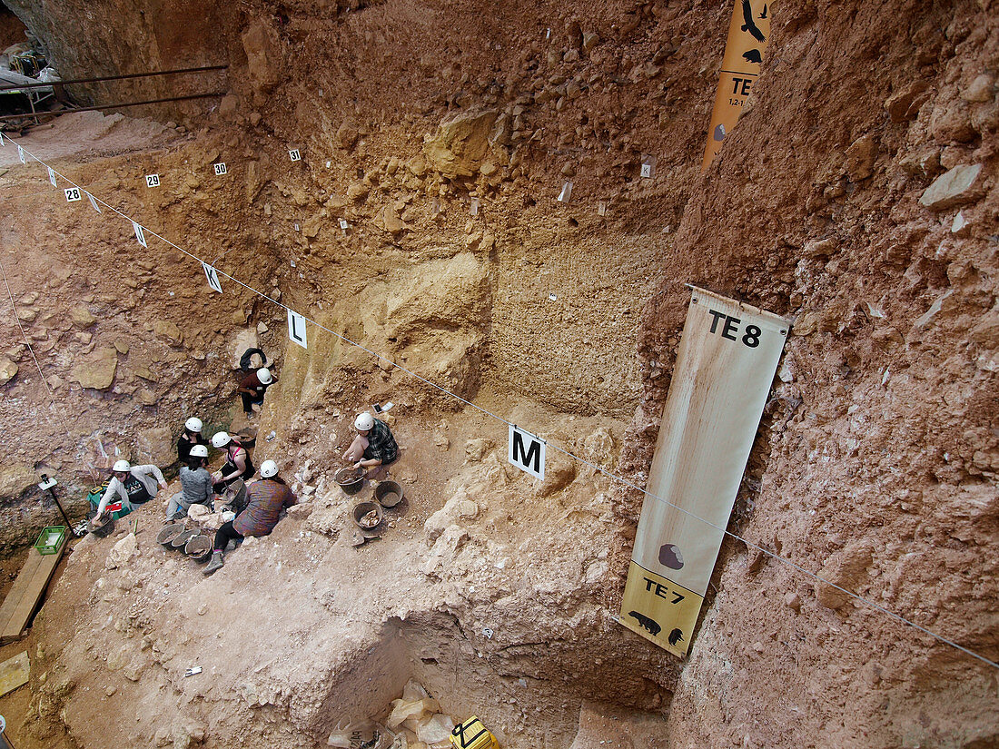 Excavations at Sima del Elefante fossil site, Spain