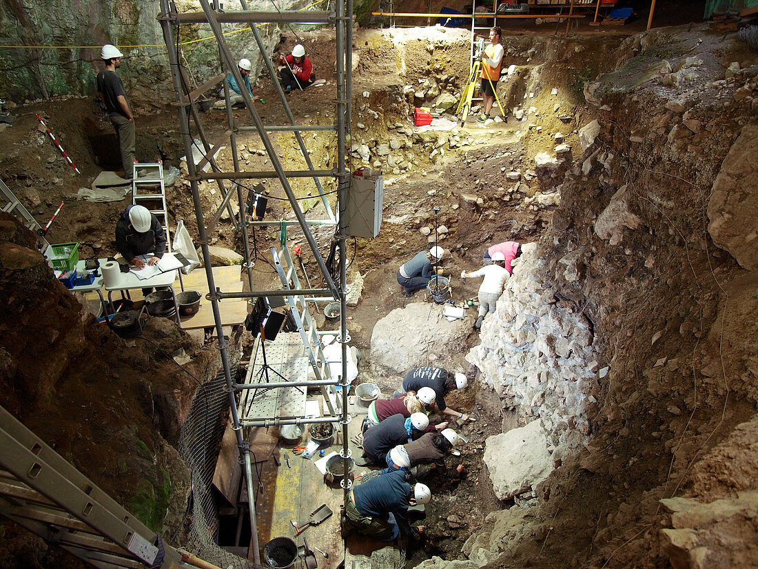 Excavations at Cueva Mayor site, Spain
