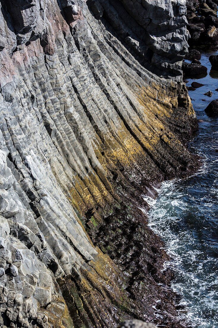 Coastal basalt columns