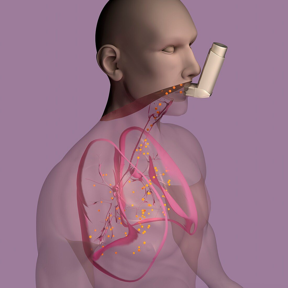 Inhaler use, illustration