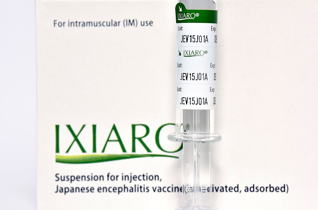 Japanese encephalitis vaccine