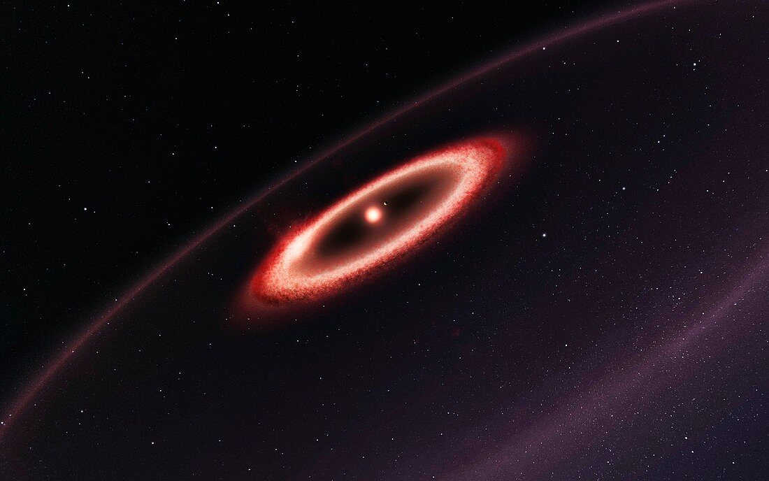 Proxima Centauri dust belts, illustration