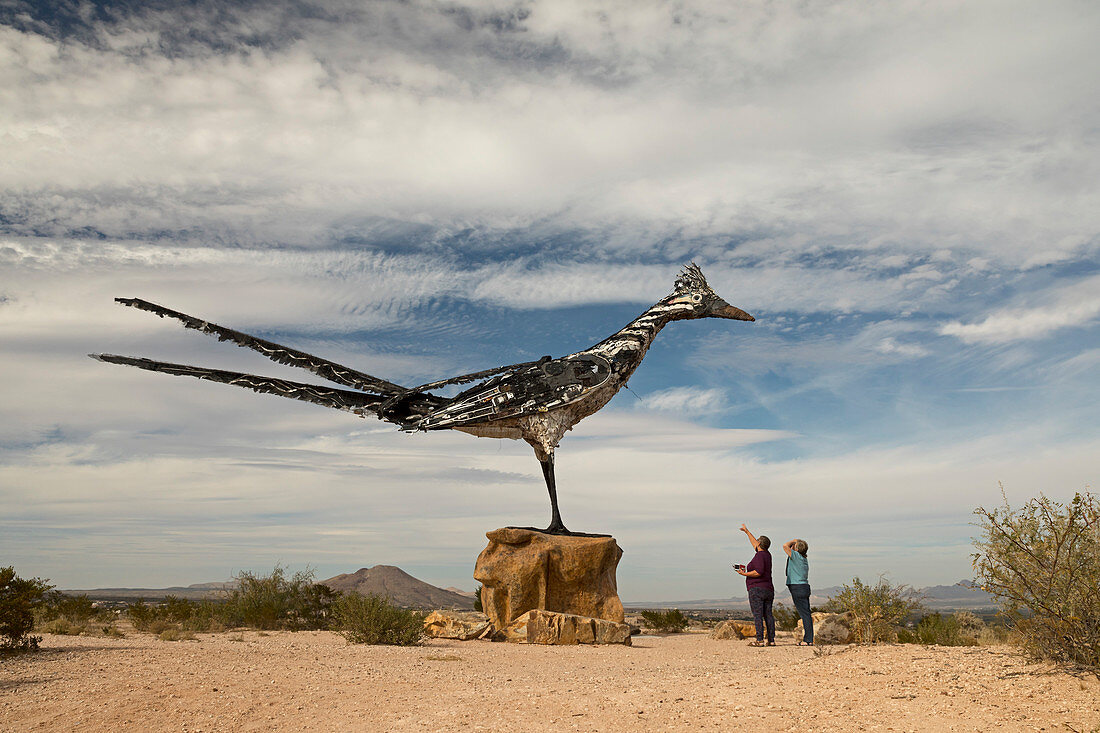 Recycled Roadrunner, New Mexico, USA