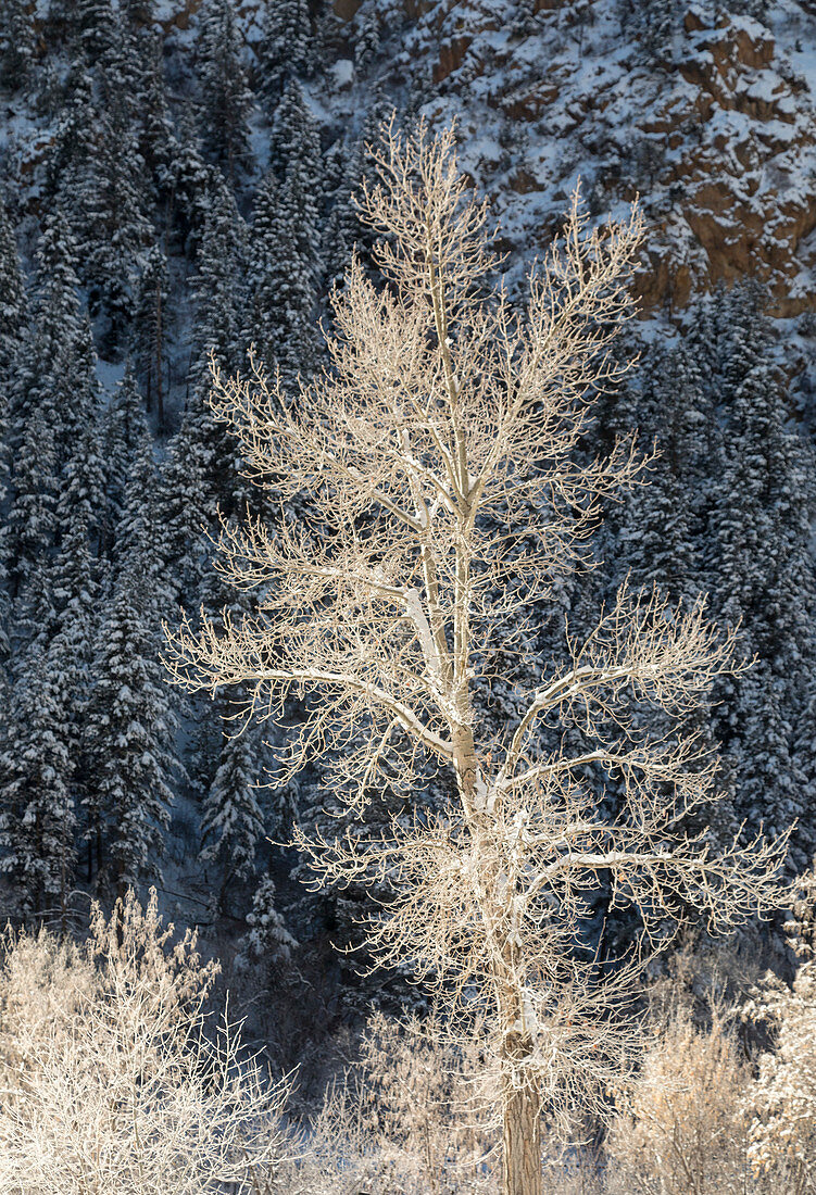 Glenwood Canyon in winter, Colorado, USA