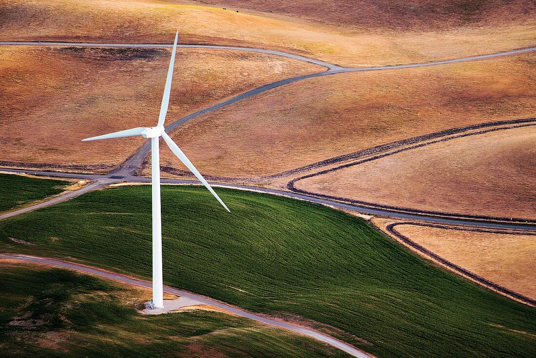 Wind turbine, California, USA, aerial photograph