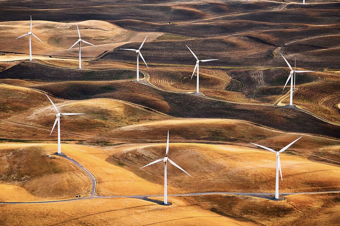 Wind turbines, California, USA, aerial photograph