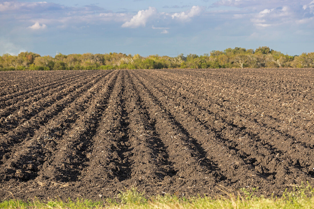 Ploughed field, Texas, USA