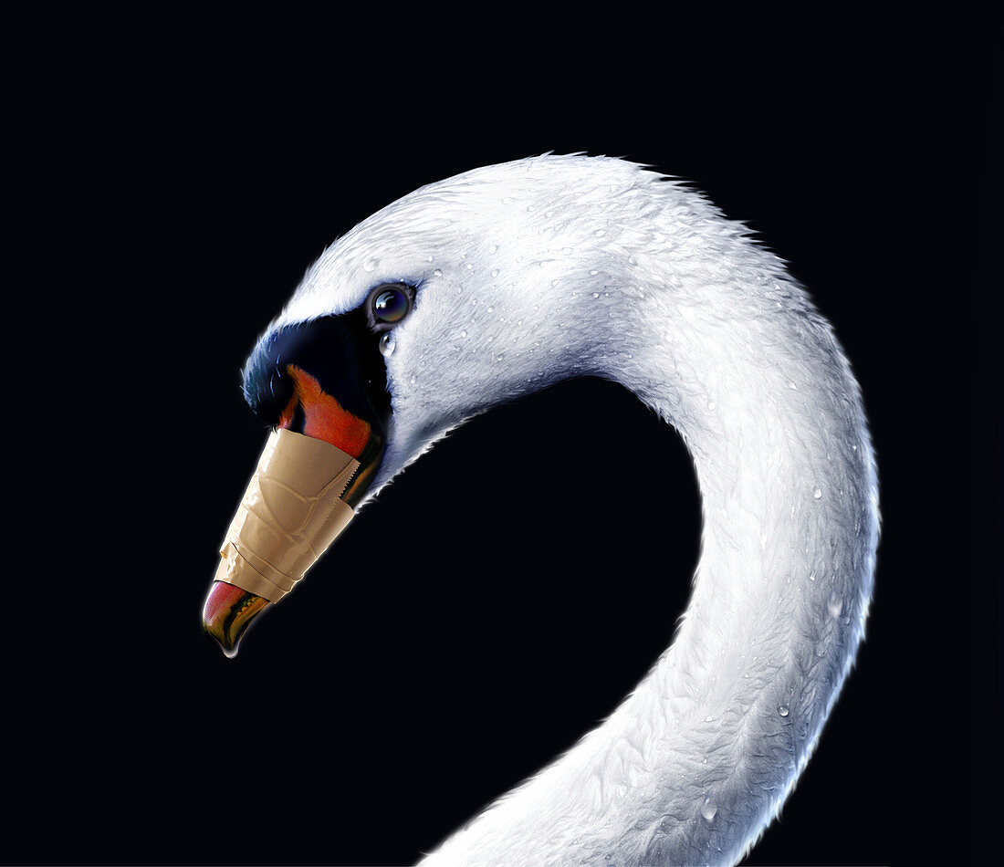 Gagged swan, conceptual image