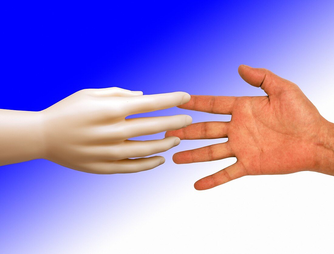 Artificial hand and human hand