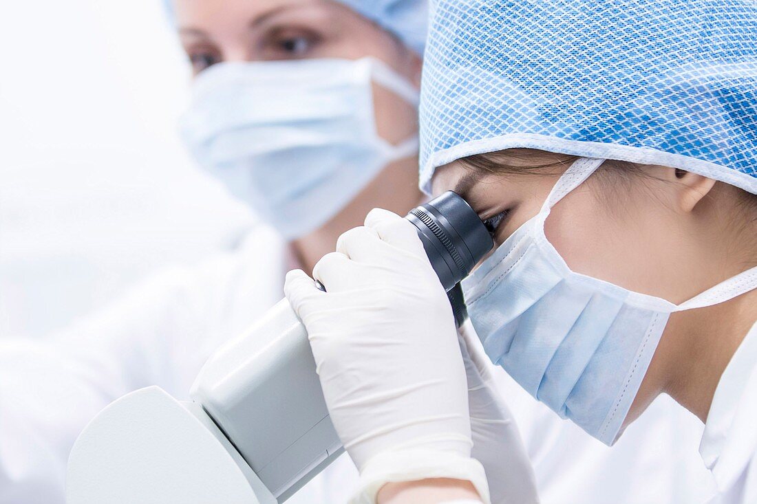 Scientist using microscope