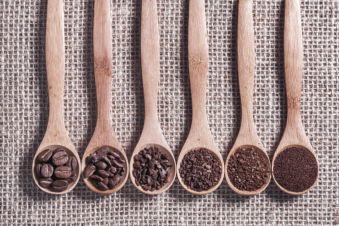 Coffee beans and grinds on wooden spoons