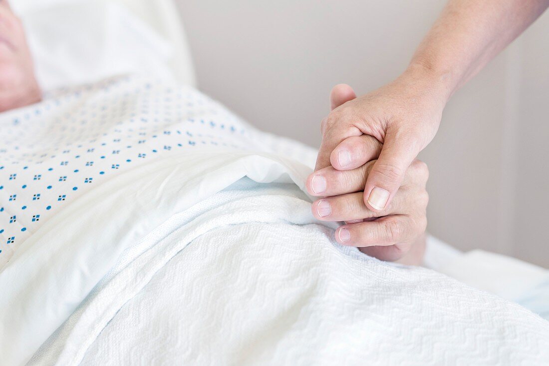 Nurse holding male patient's hand in hospital bed