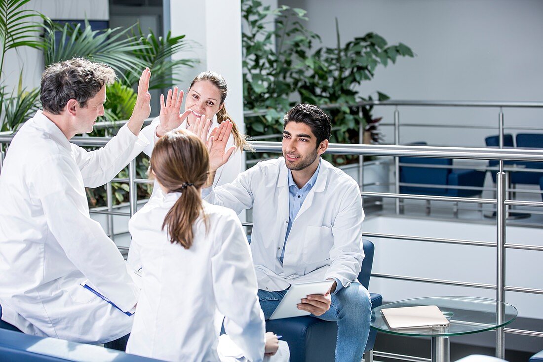 Medical colleagues in meeting