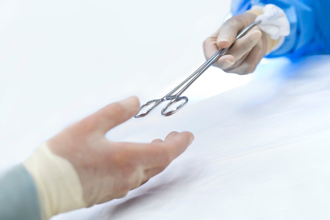 Nurse passing surgical scissors to surgeon
