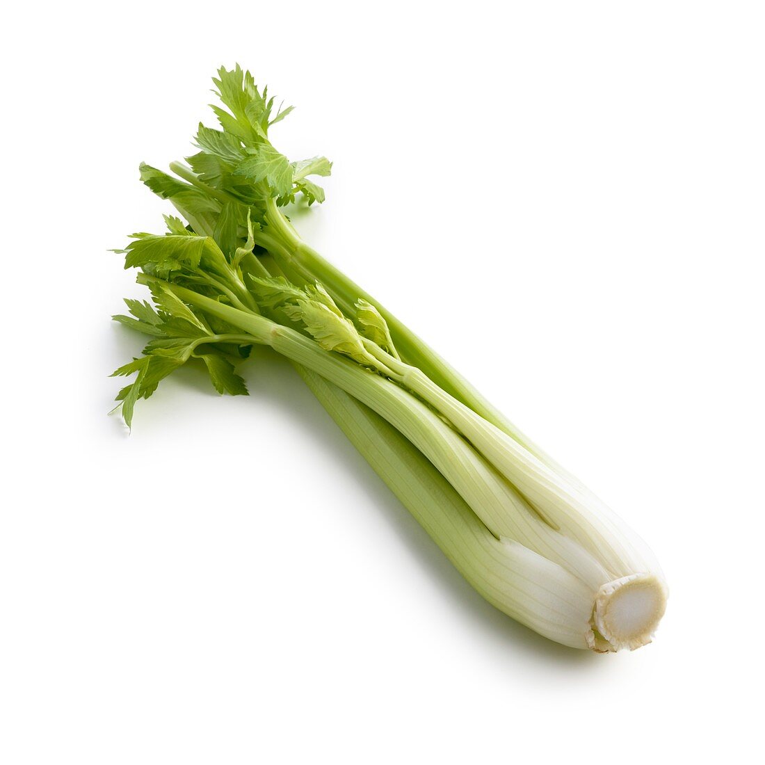 Celery