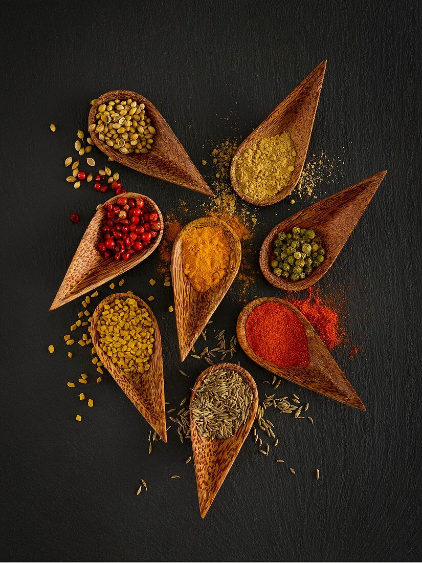 Dried spices in wooden spoons