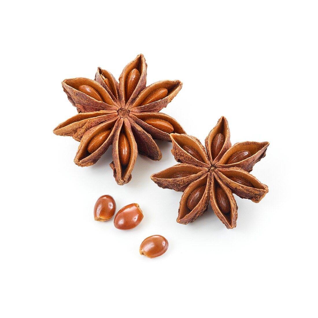 Star anise with seeds