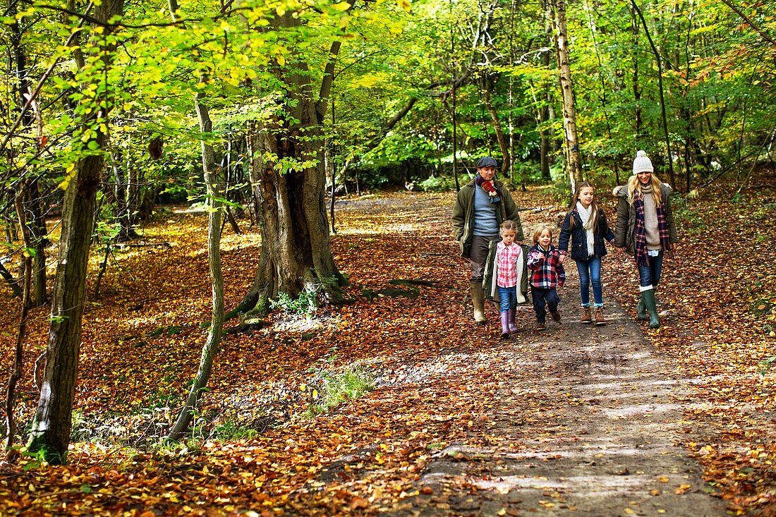 Family walking in woods in Autumn