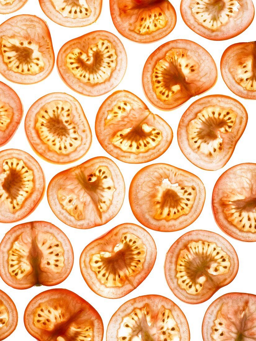 Tomato slices