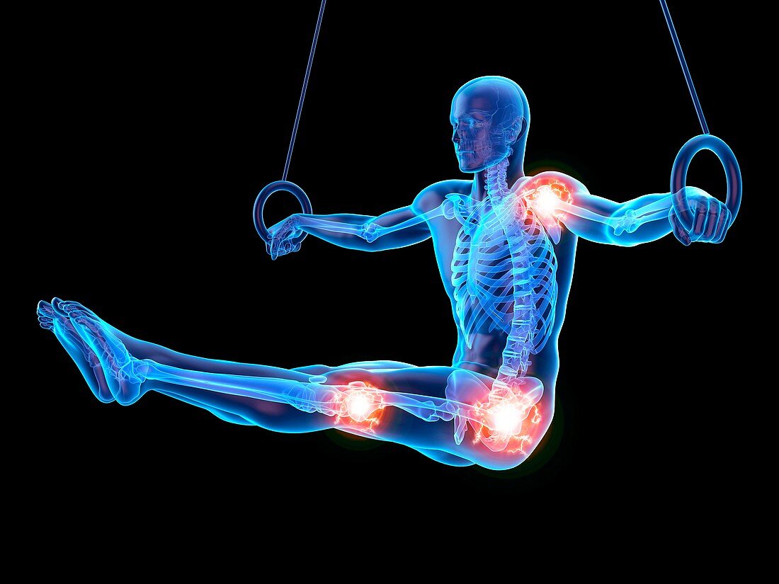 Person using gymnastic rings, joints, illustration