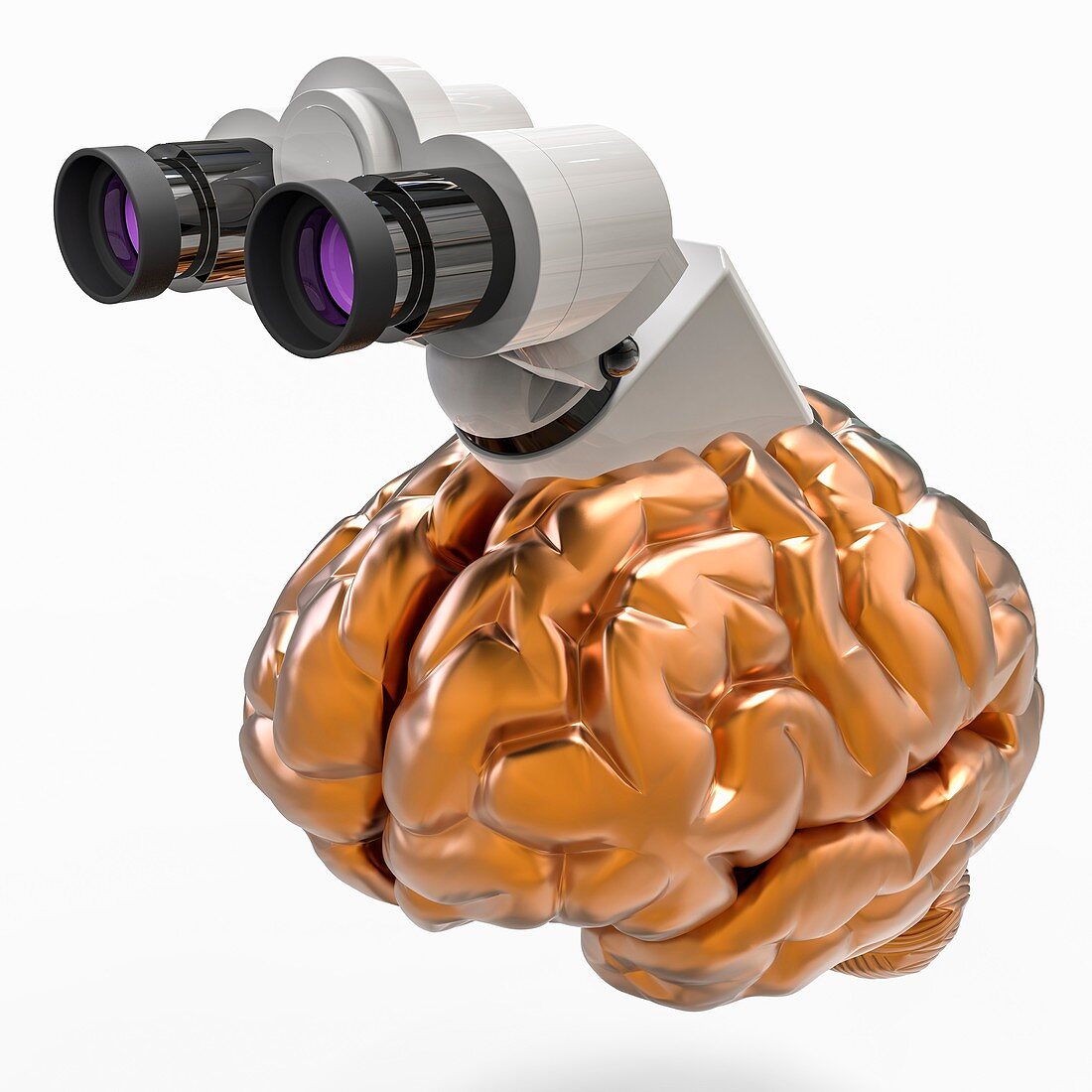 Brain research, illustration