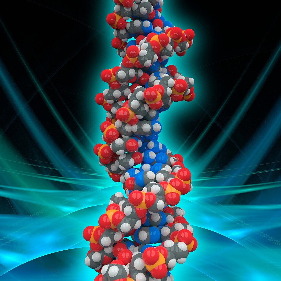 DNA molecular model, illustration