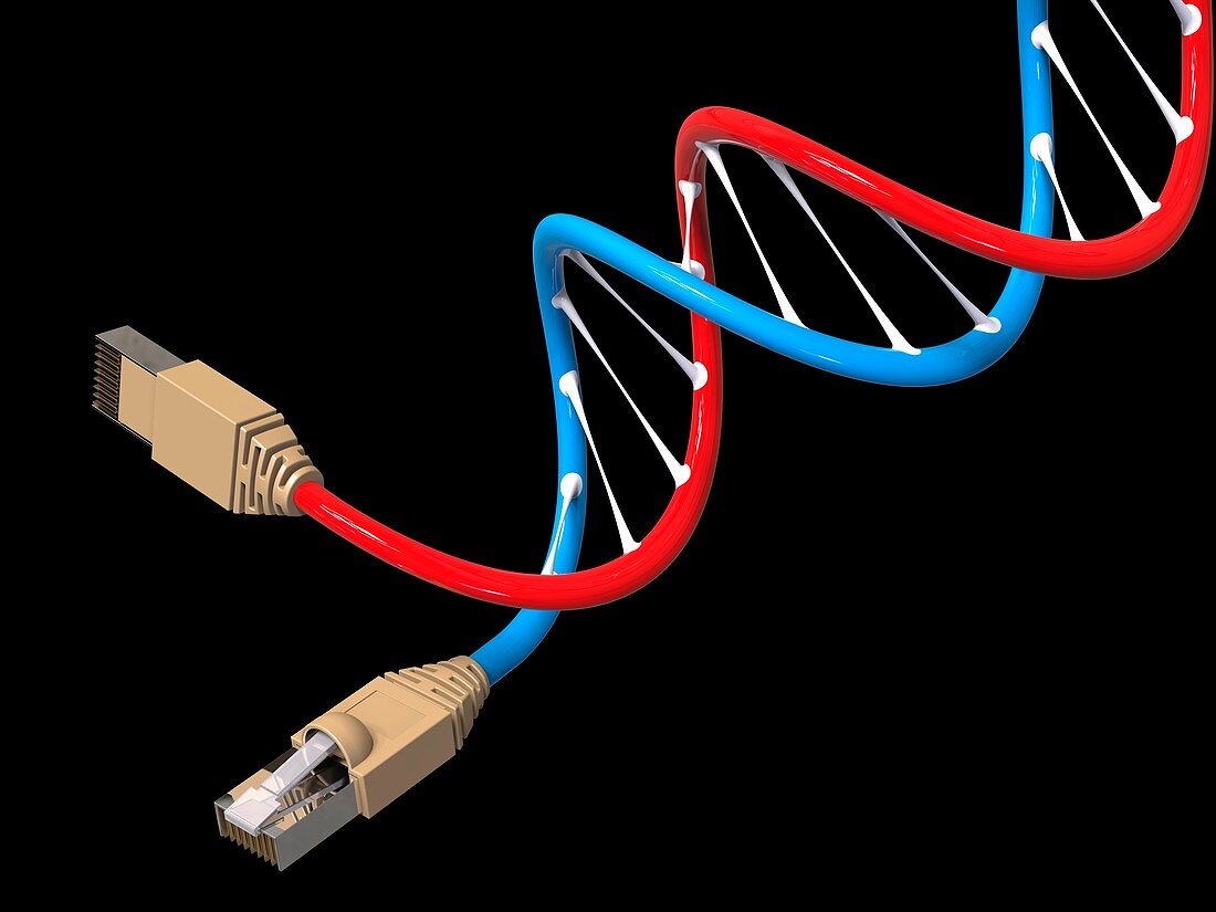 Genetic engineering, illustration