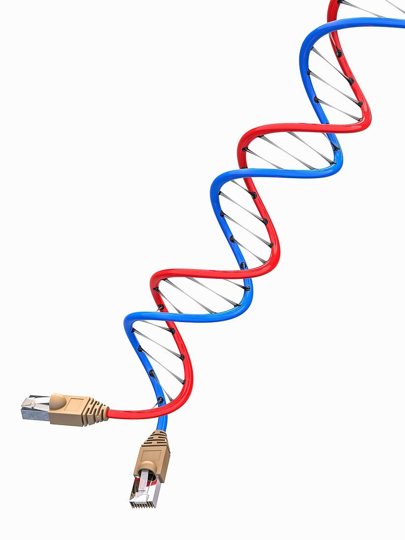 Genetic engineering, illustration