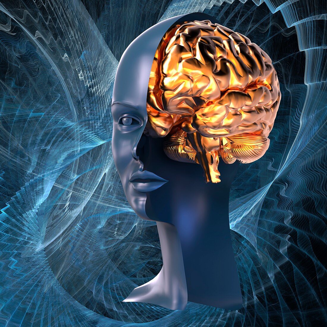 Brain inside a woman's head, illustration
