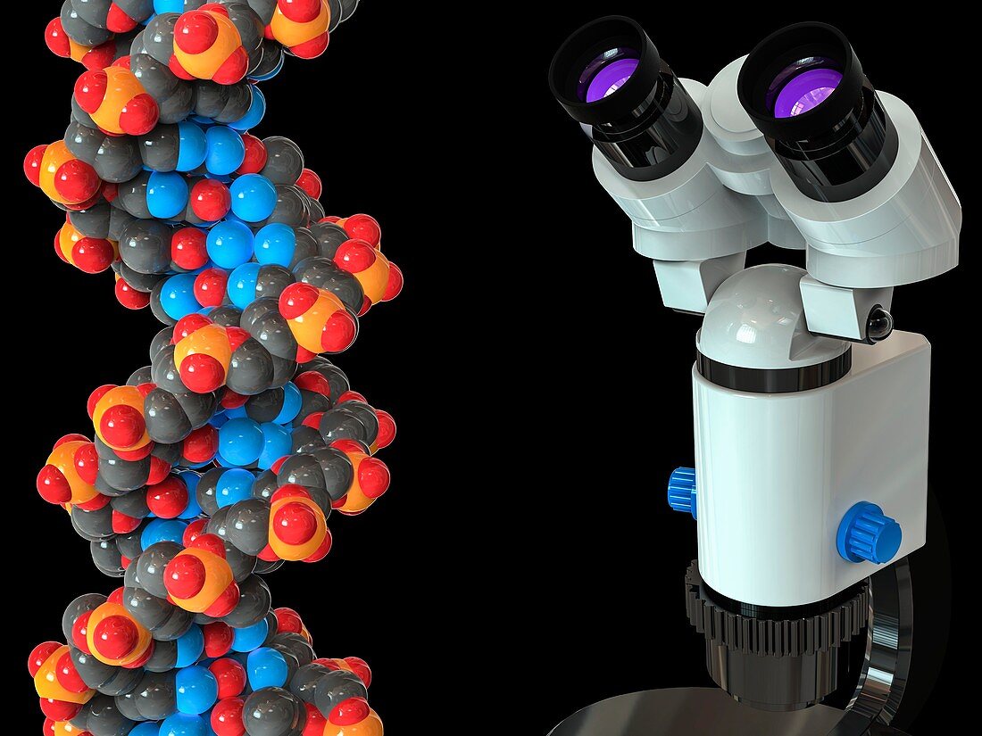 DNA and microscope, illustration