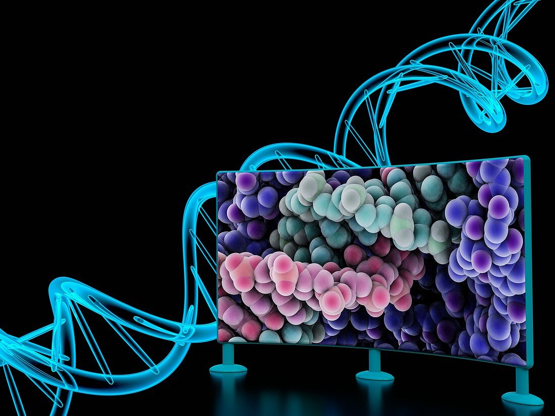 DNA on computer monitor, illustration