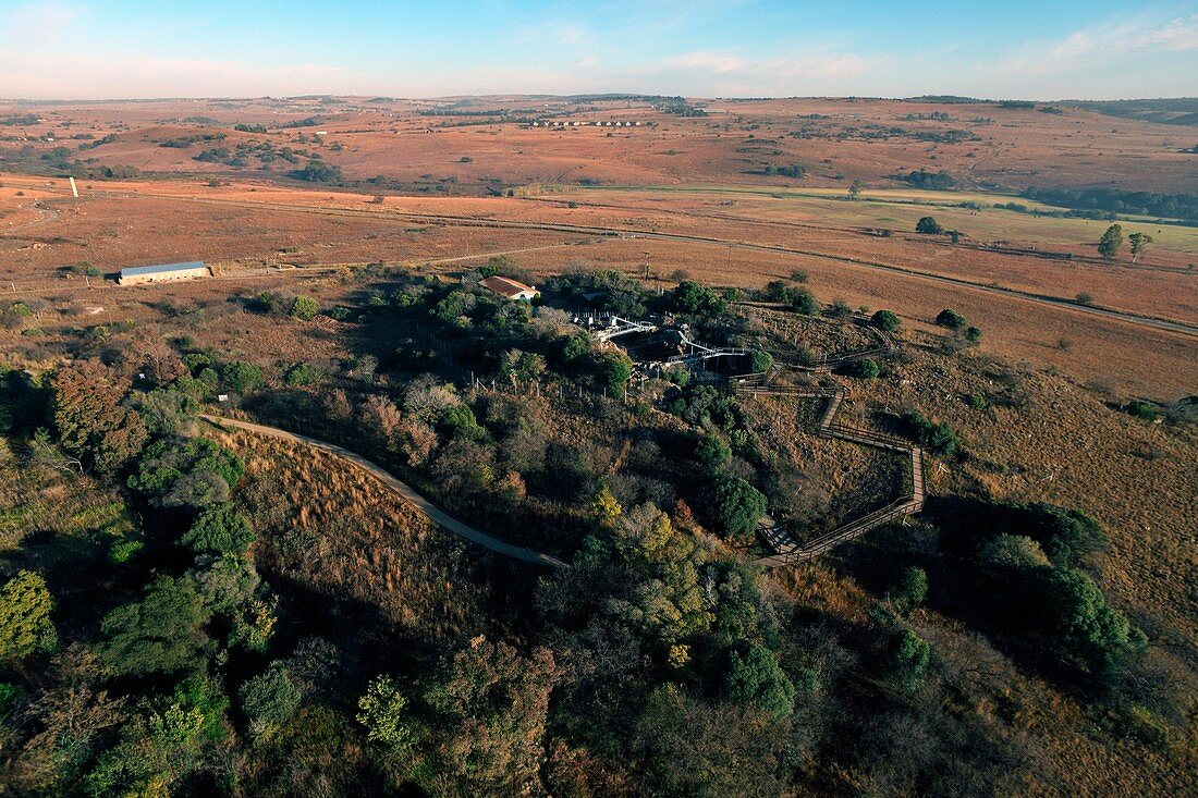 The Cradle of Humankind, South Africa