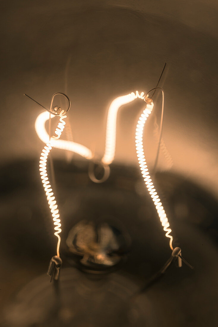 Light bulb's tungsten filament